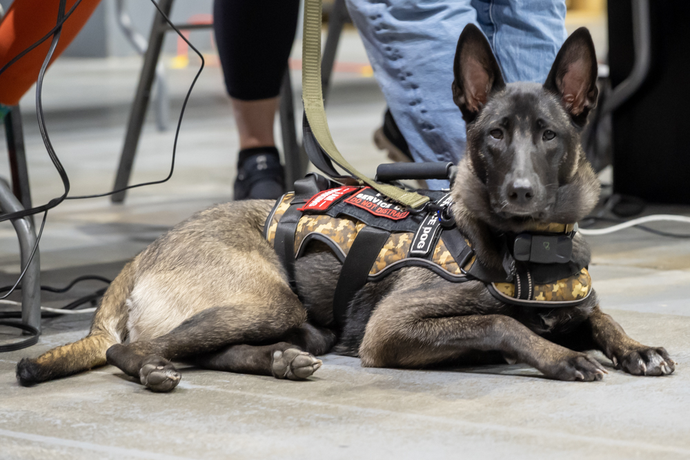 Service dog at FLA MOM